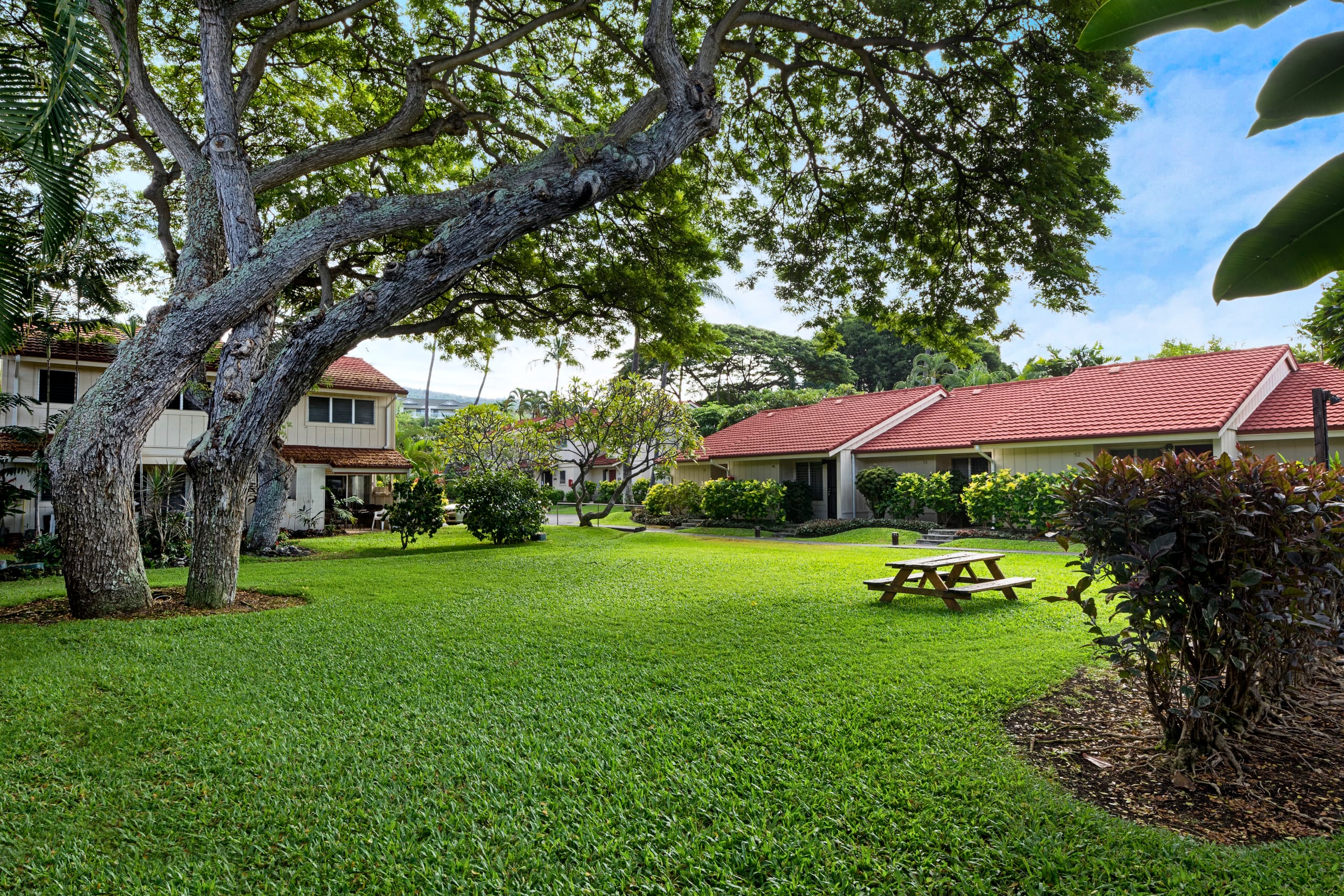 Air-Conditioned Island Oasis - Photo 20