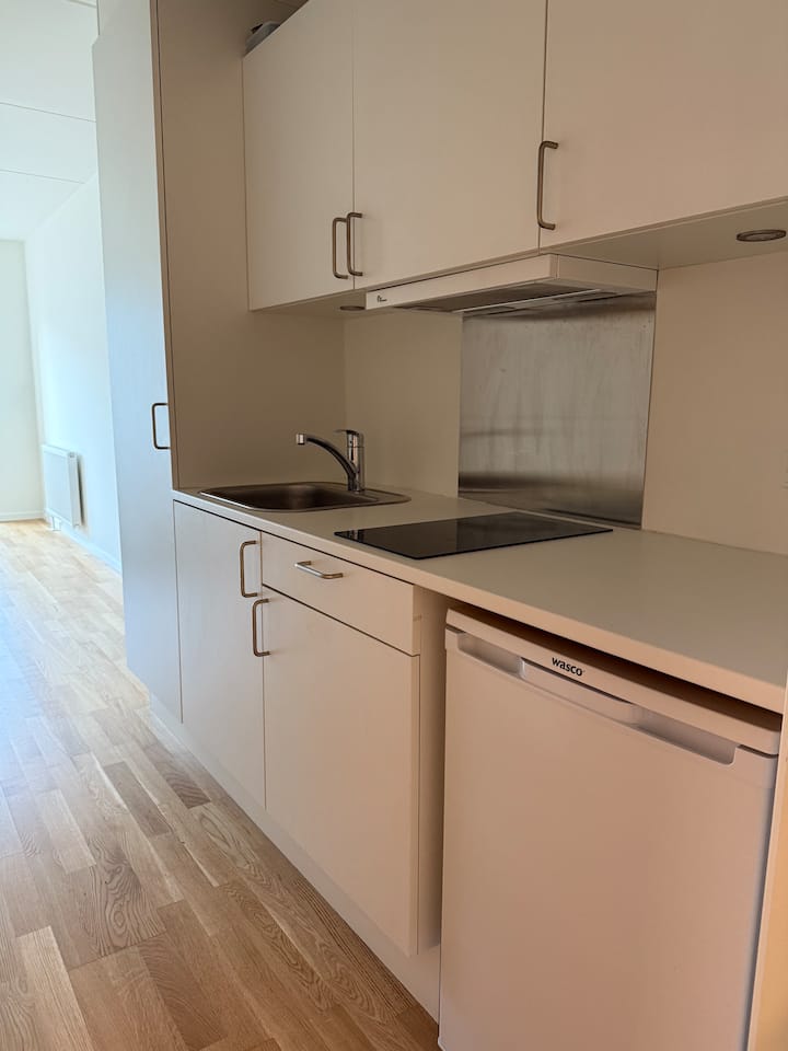 Cozy Modern Studio Near Center - Copenhaguen
