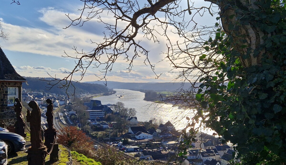 A scenic view overlooking the Rhine River, with gentle hills in the background. Sunlight reflects off the water, highlighting nearby buildings and greenery. Branches from trees frame the image, adding depth to the tranquil landscape.