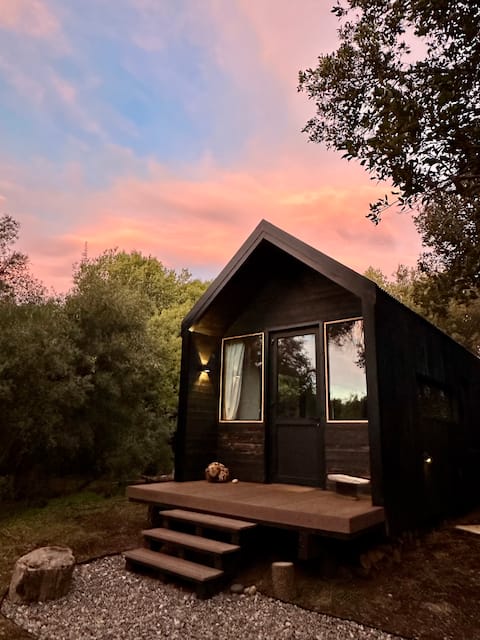 Maiten - Wild Encounter - Lolog Lake