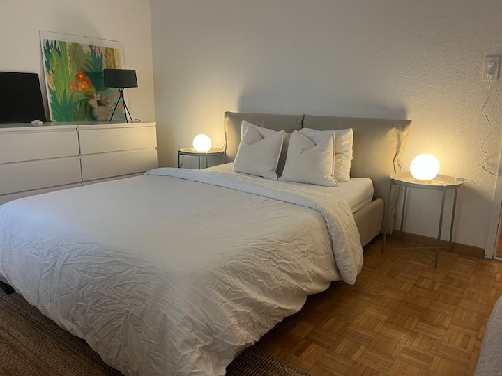 Cosy Space In Zollikon With Private Lake Access - Zürich