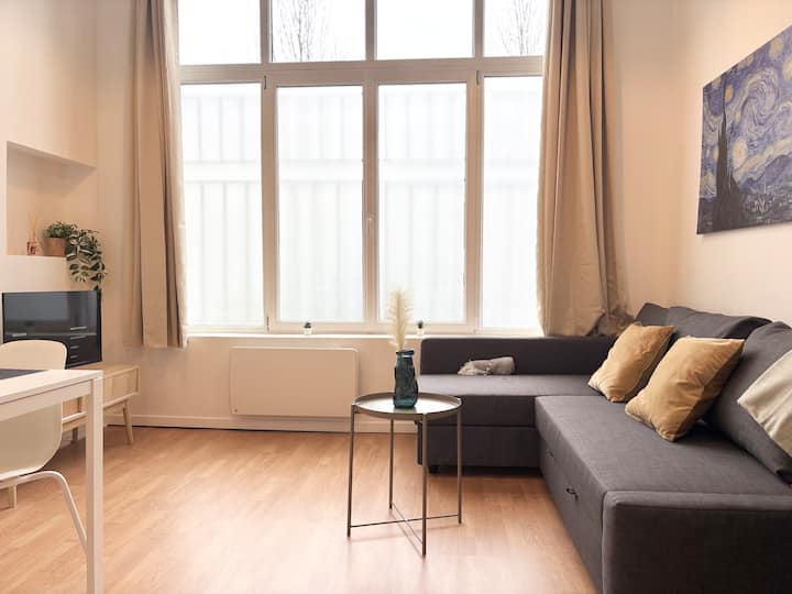 Appartement 6 Voyageurs - Roubaix - Mouscron
