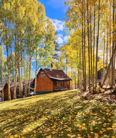 Bunkhouse in the Aspens