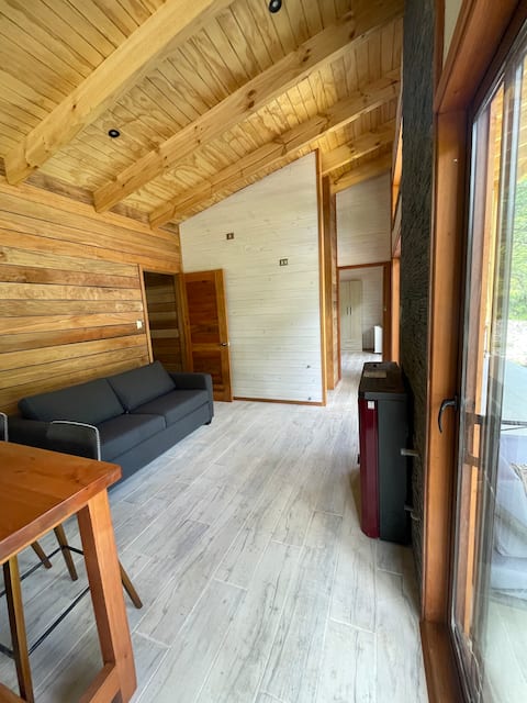 Successful Airbnb property: Refugio Lapataia - house with large terrace in Curacautín