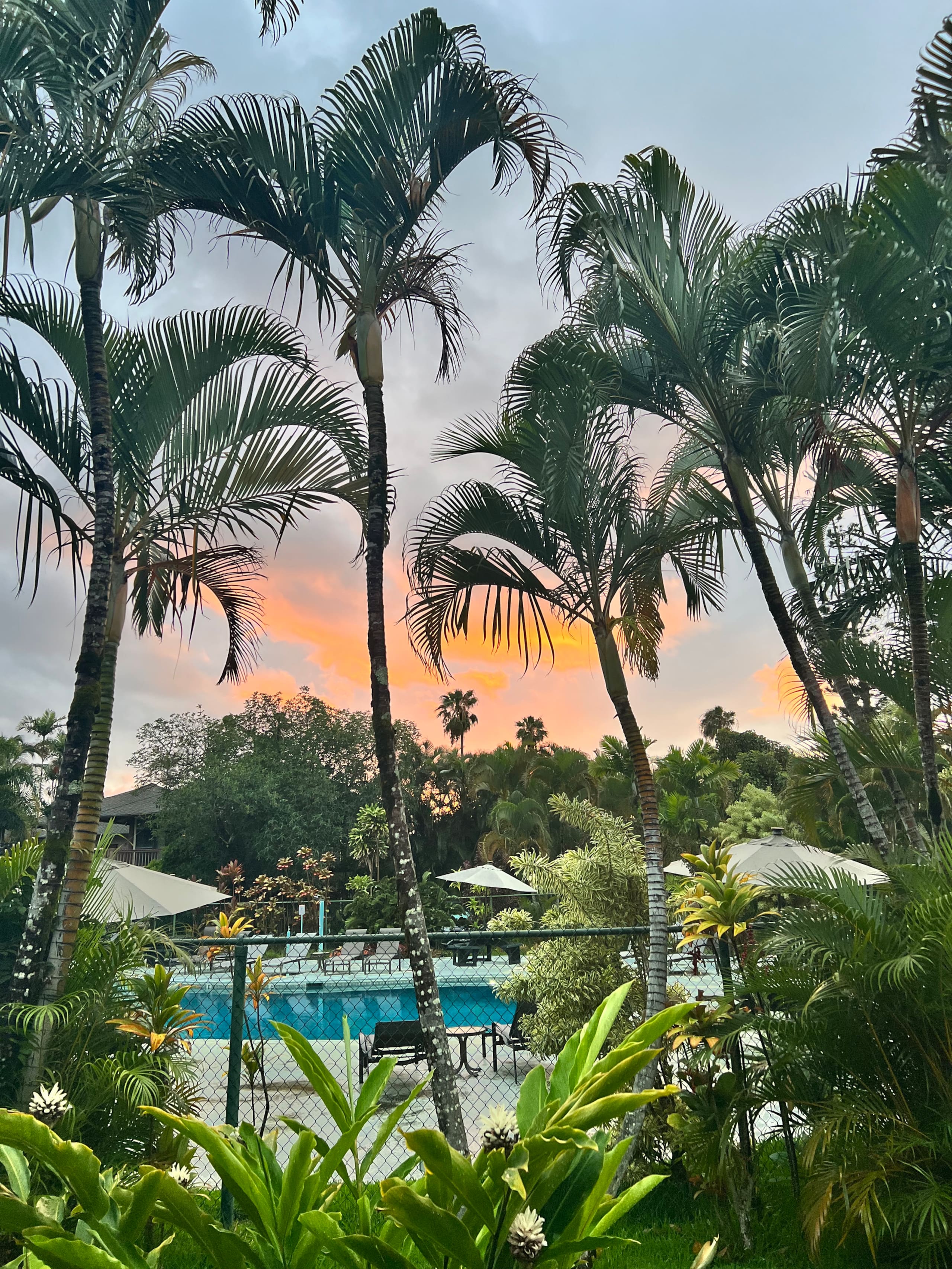 5* Reviews! Spacious Tropical Retreat + Pool + AC - Photo 72