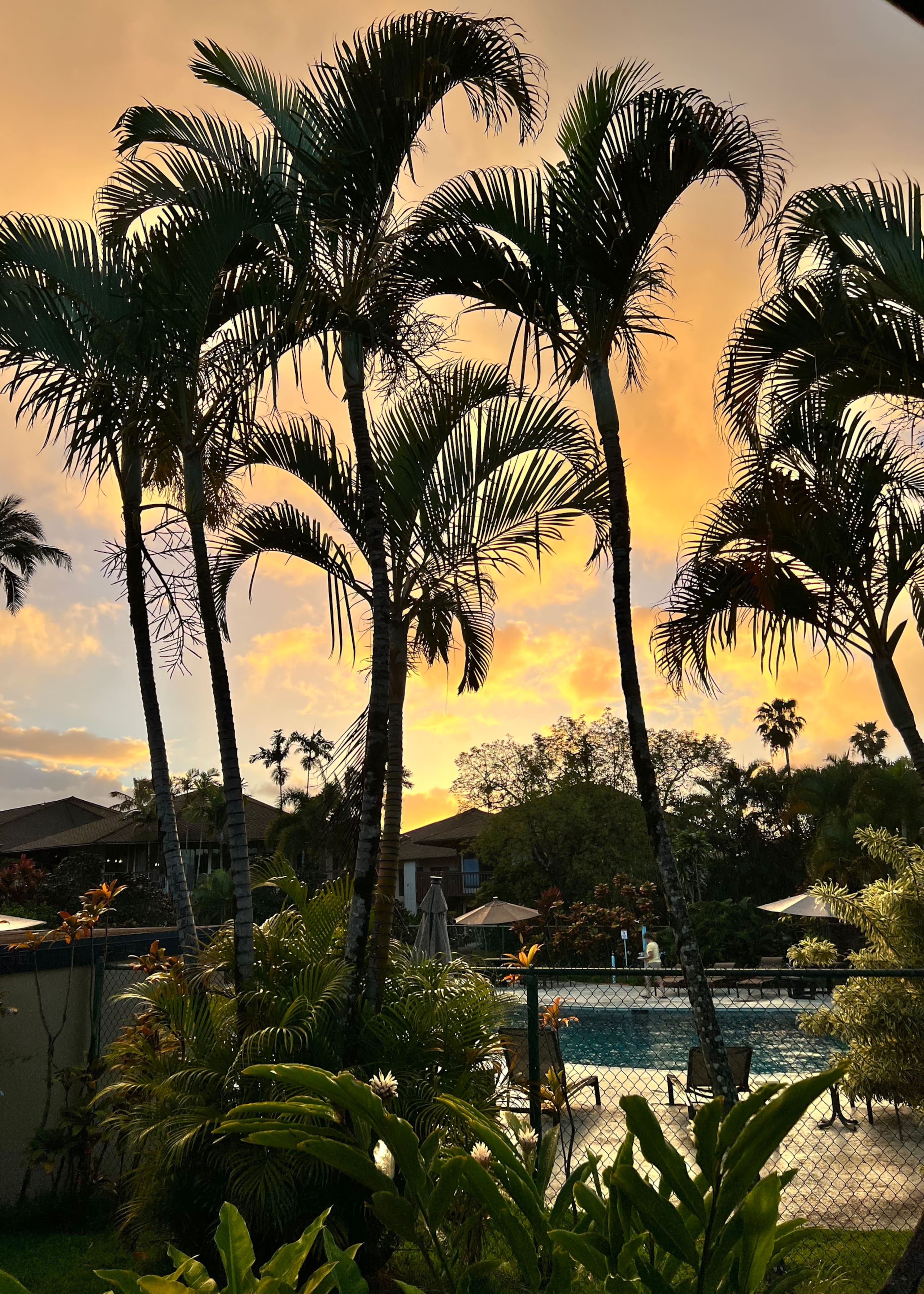 5* Reviews! Spacious Tropical Retreat + Pool + AC - Photo 26