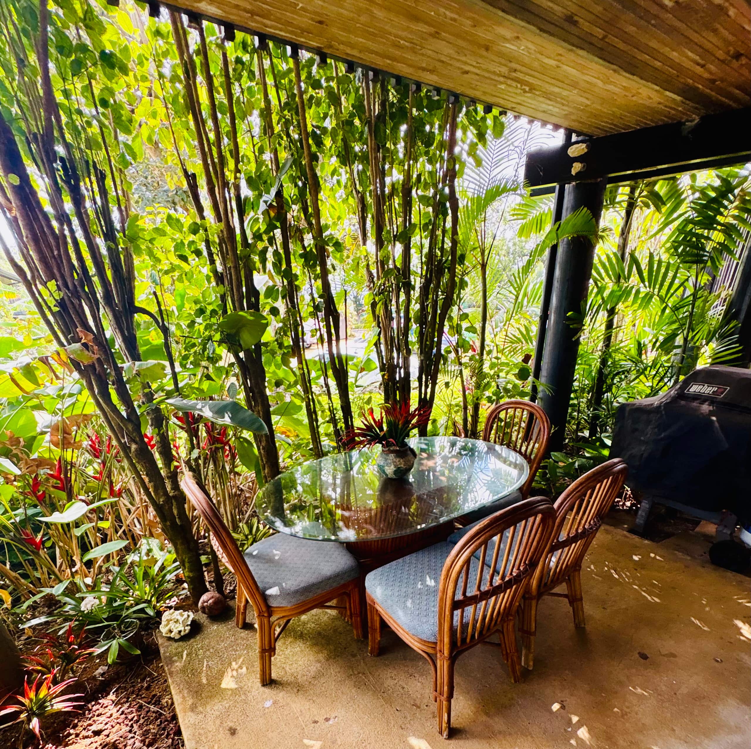 5* Reviews! Spacious Tropical Retreat + Pool + AC - Photo 55