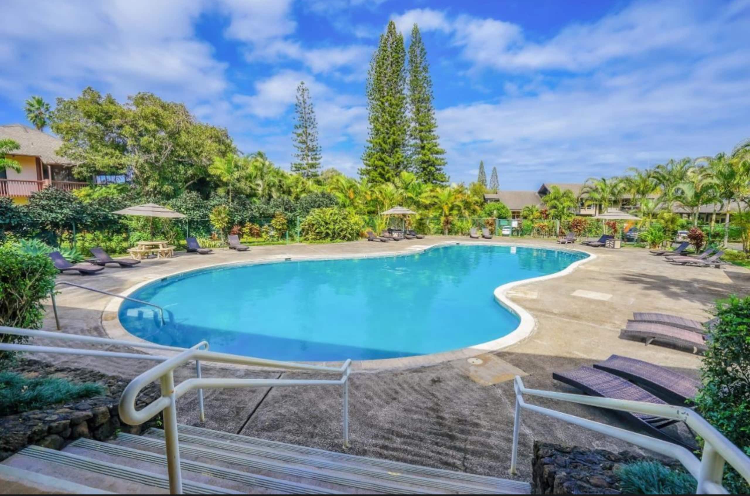 5* Reviews! Spacious Tropical Retreat + Pool + AC - Photo 71