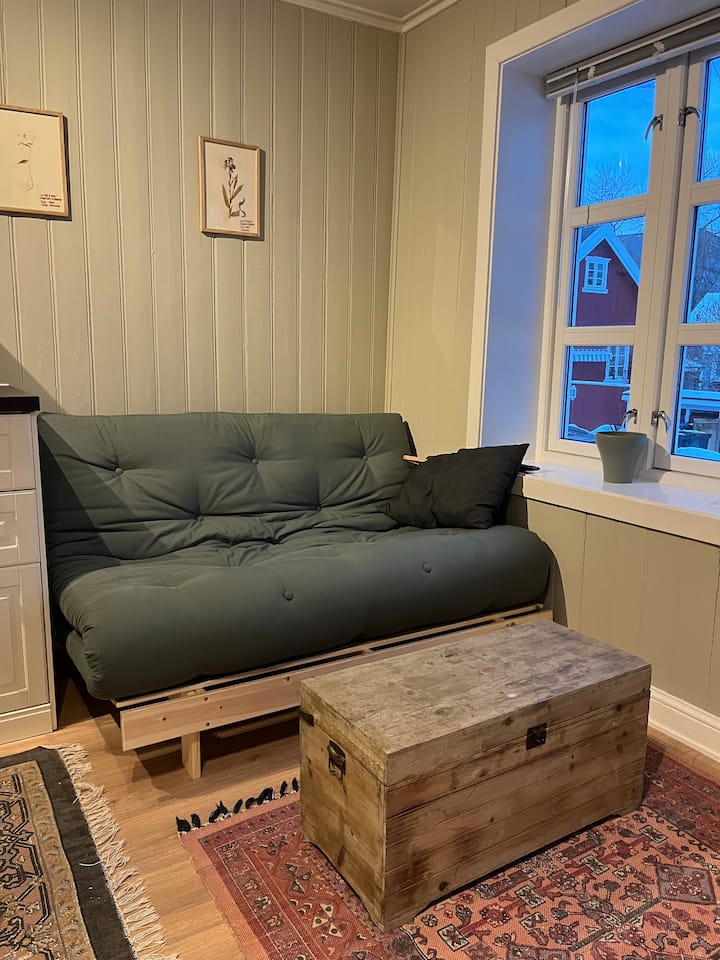 Всекидневна зона