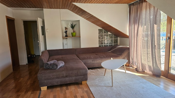 Ferienwohnung Riesling - Zell (Mosel)