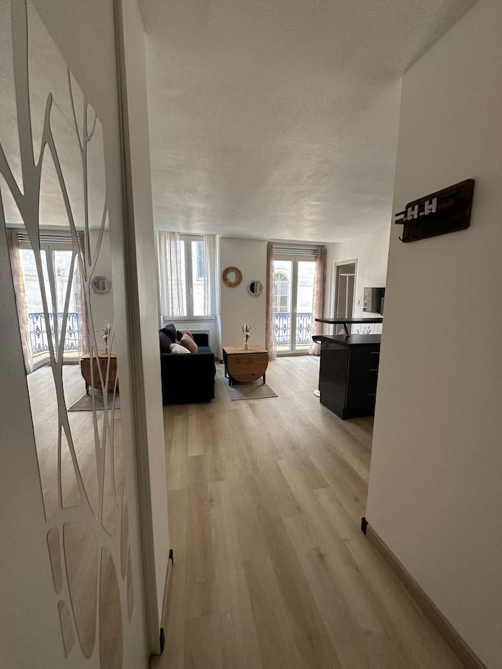 T2 Hyper Centre Avec Balcon. Wifi. Tv - Bordeaux