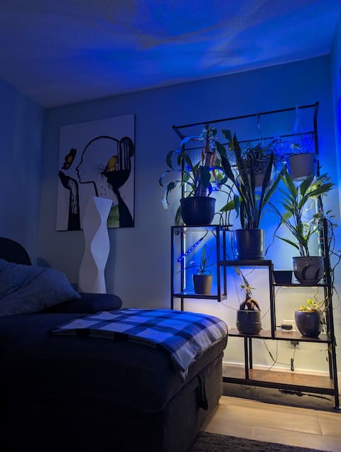 Top performing Airbnb: Cozy 2 Bedroom Basement | Easy Downtown Access in Mc Cauley