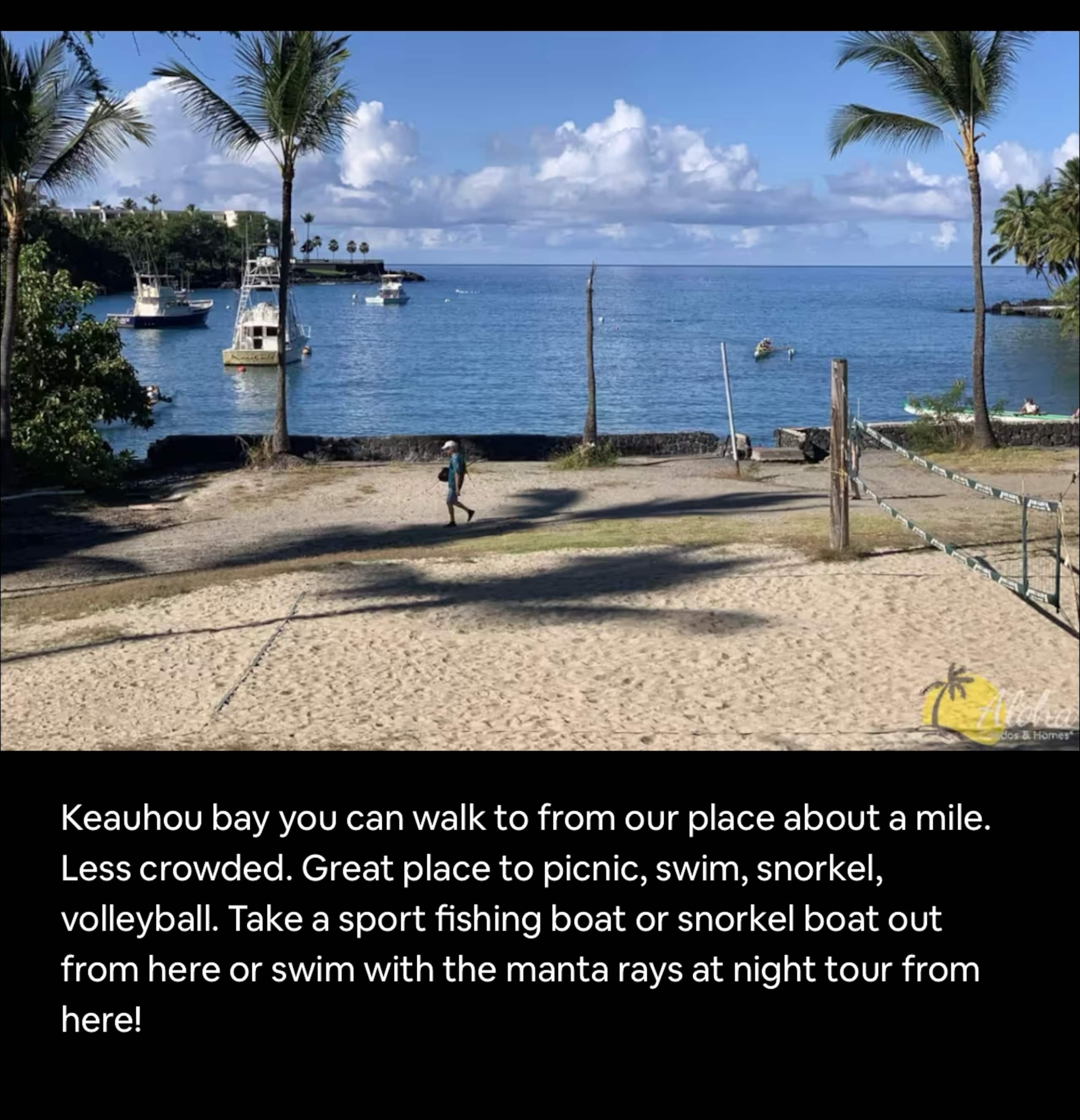Home in Kailua-Kona · ★5.0 · 3 bedrooms · 7 beds · 2 private baths - Image 55