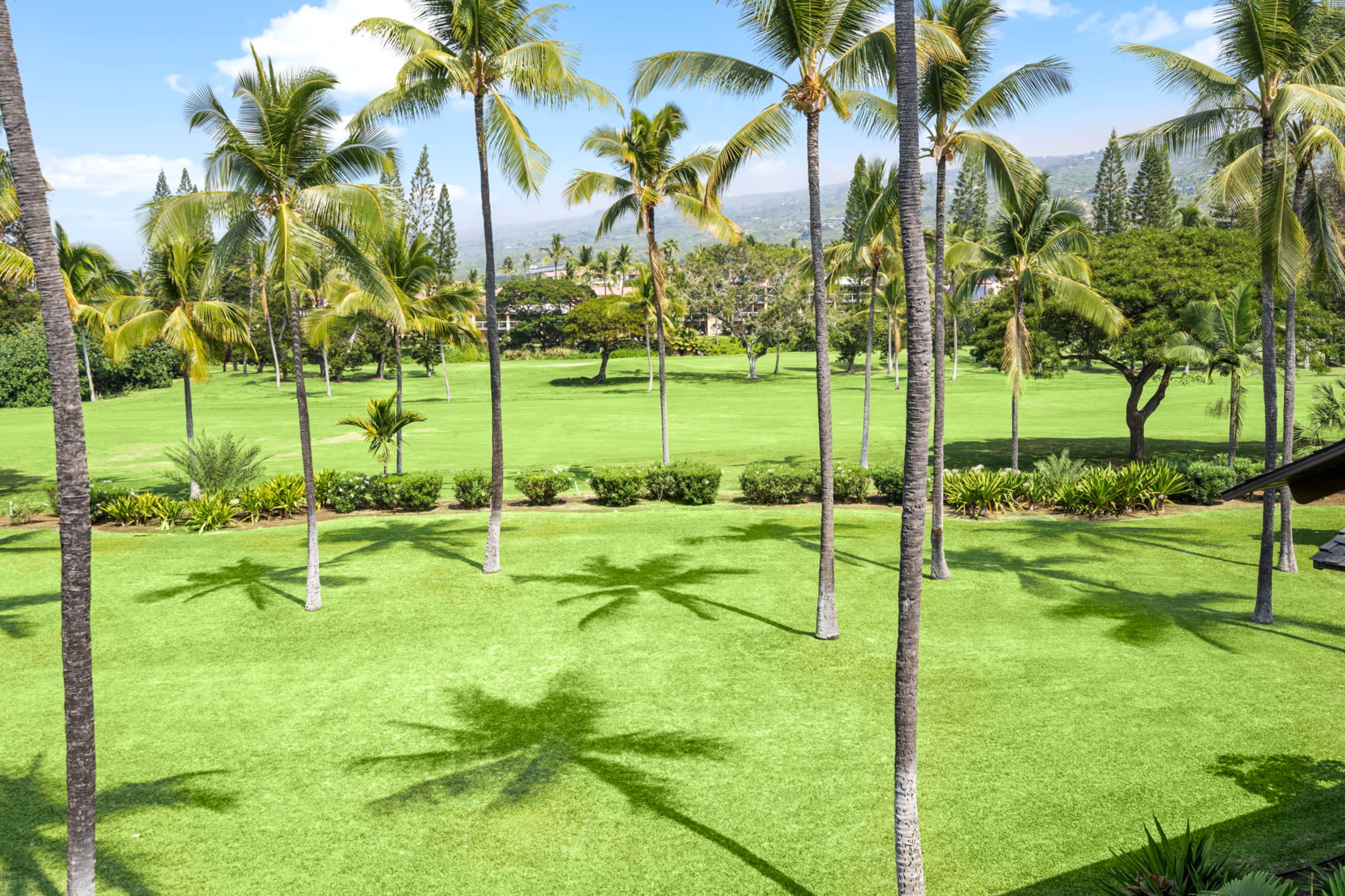 Home in Kailua-Kona · ★5.0 · 3 bedrooms · 7 beds · 2 private baths - Image 27