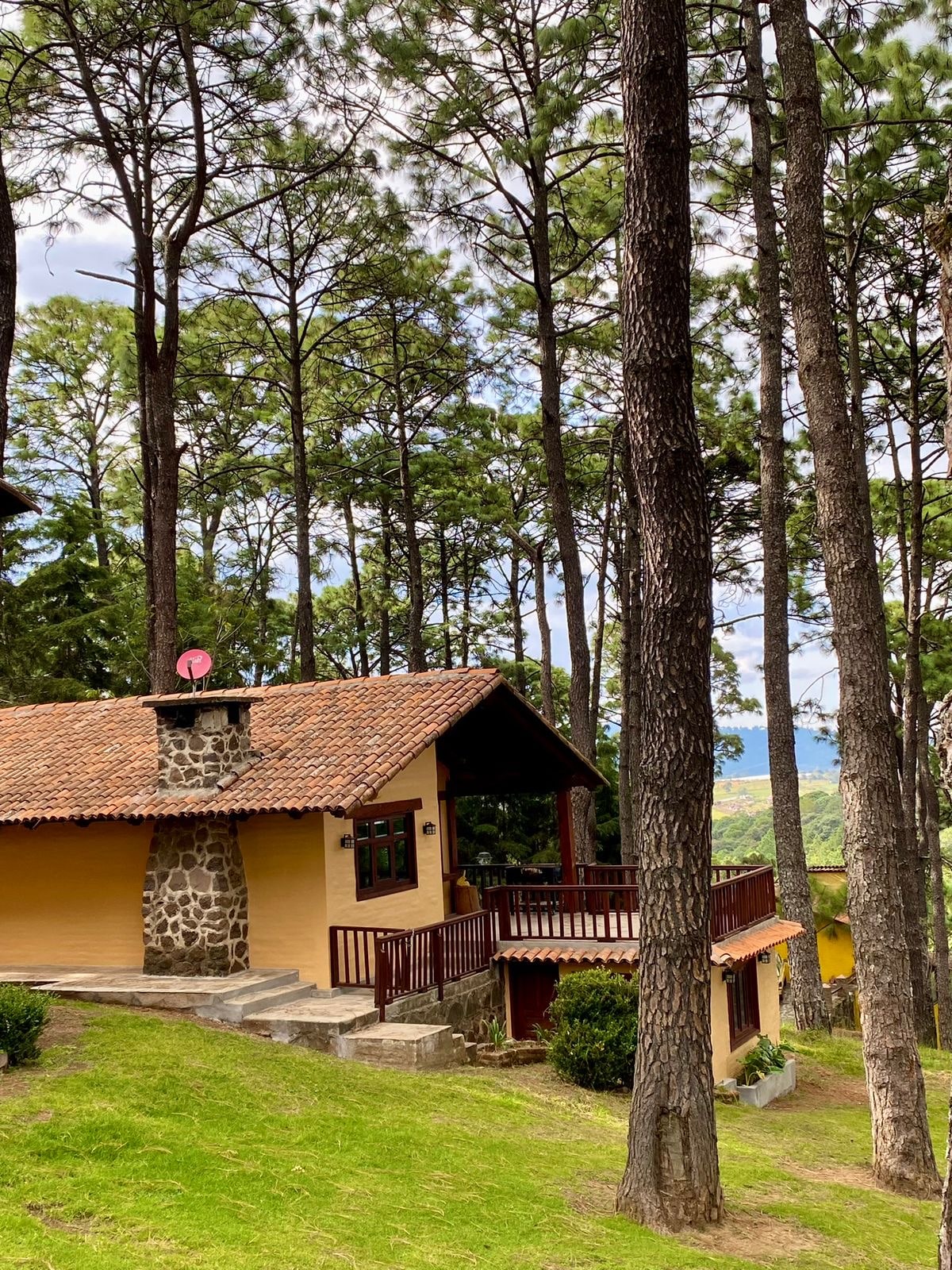 A charming cabin is situated amongst tall pine trees, featuring a stone exterior and a terracotta roof. A spacious deck extends from the front, providing a view of the surrounding landscape, while greenery and shrubs frame the house.