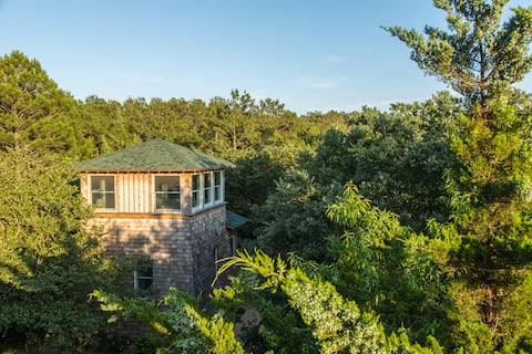 Top performing Airbnb: Sleep among the treetops at Treefrog Tower! in Nags Head
