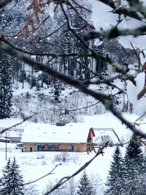 Jurassic chalet type house