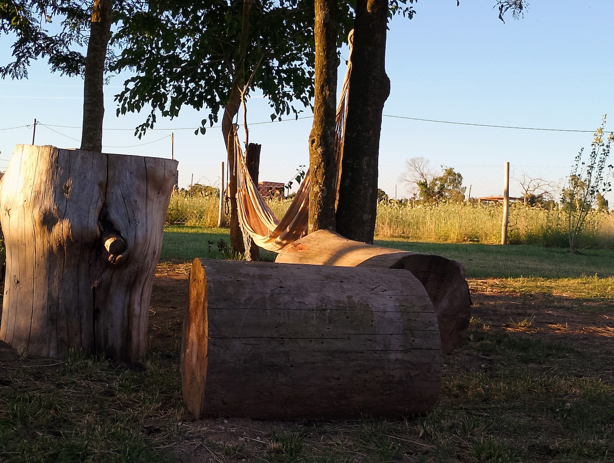 A peaceful outdoor area is surrounded by tall grass and trees. A comfortable hammock is suspended between two trees, offering a relaxing spot. Several wooden logs are positioned around the space, complementing the natural setting.