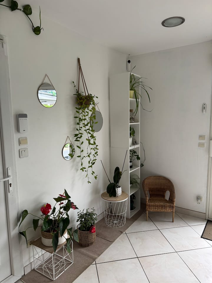 Salon