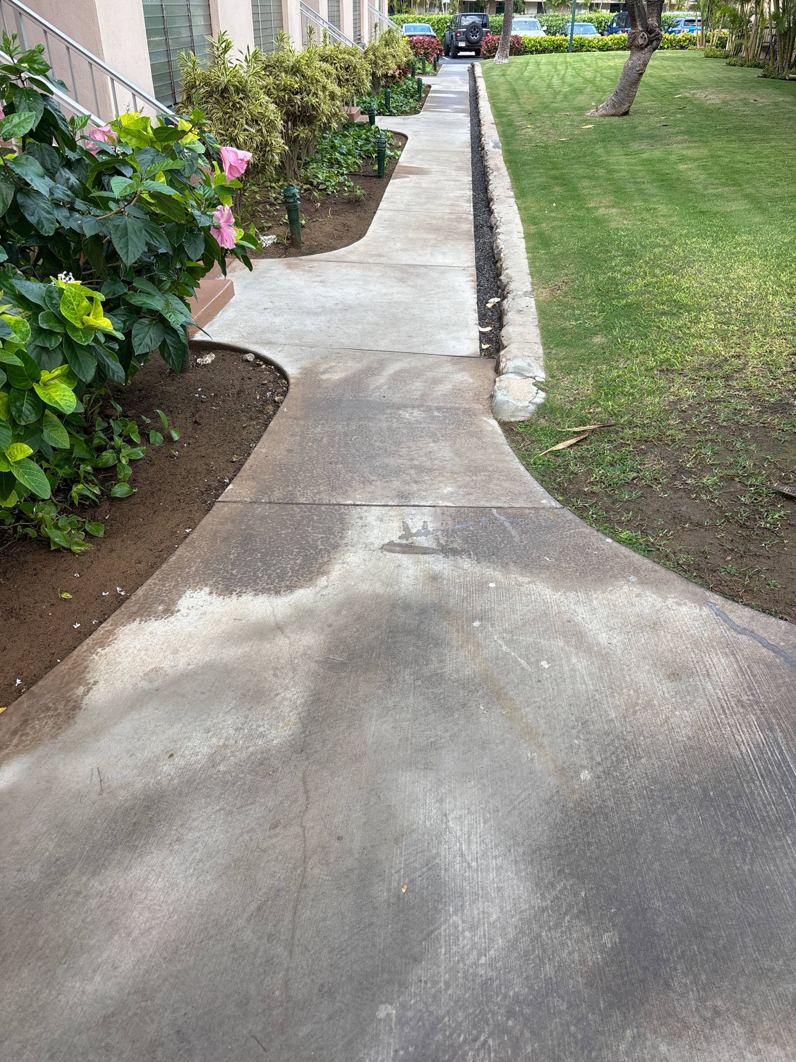 Steps to the beach in South Maui - Image 14