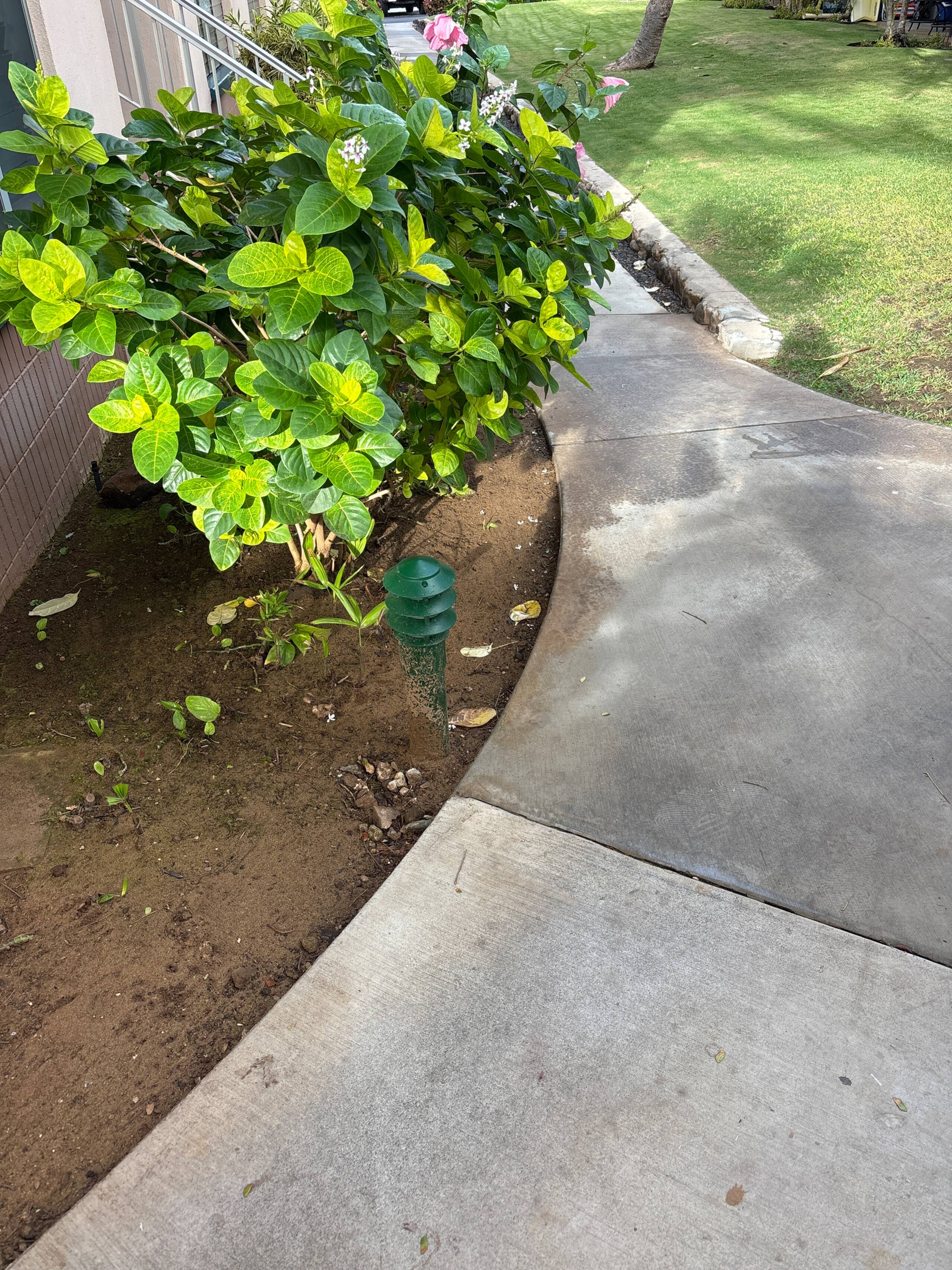 Steps to the beach in South Maui - Image 8