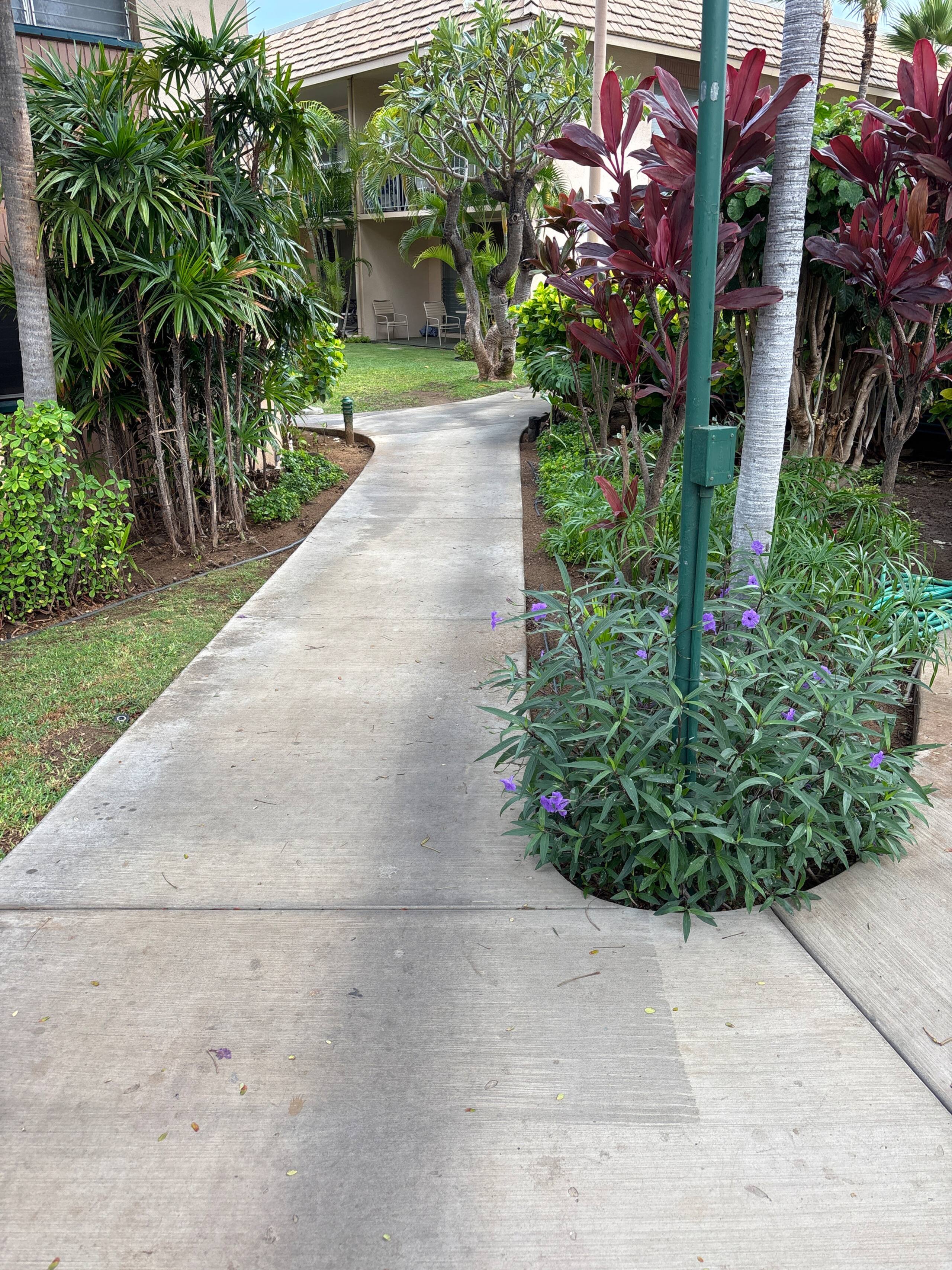 Steps to the beach in South Maui - Image 12