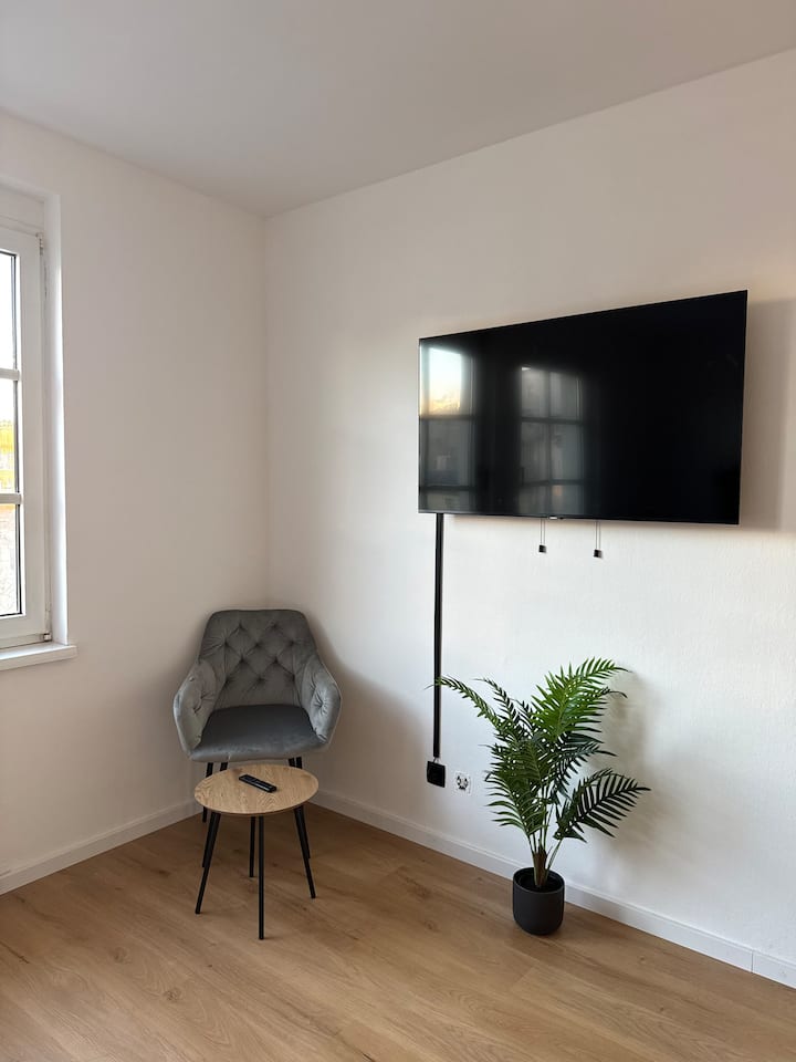 Cozy Linz Apartment—7 Mins To Hauptbahnhof - Linz