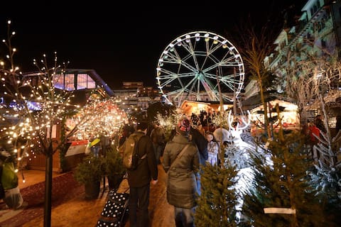 Cozy Guest Room – Private Bathroom near Montreux