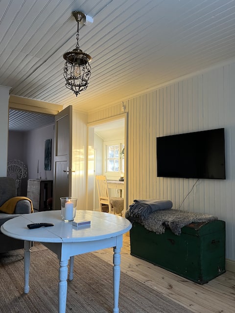 Successful Airbnb property: Turn-of-the-century villa by Lake Mälaren, private dock, beach. in Strängnäs