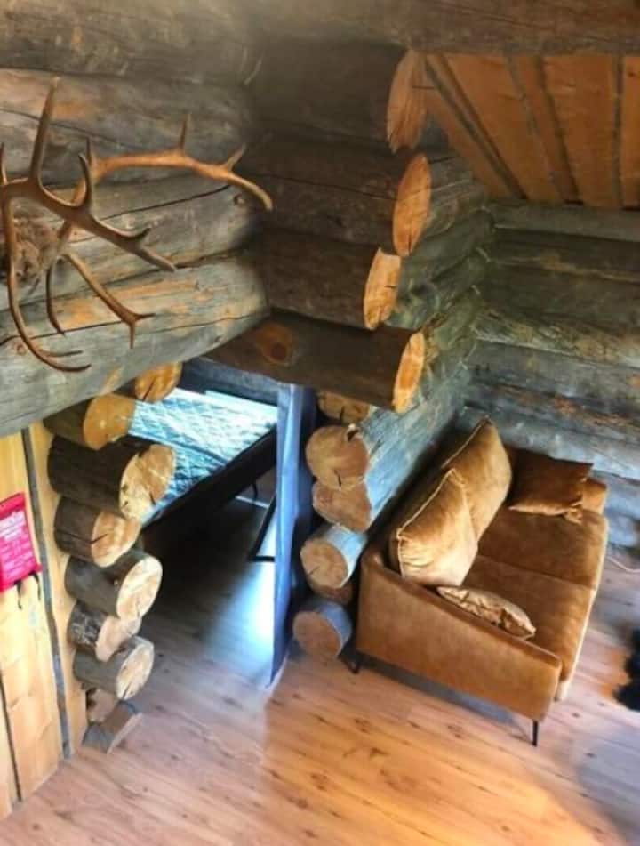 Tunturituikku Black - Lapland