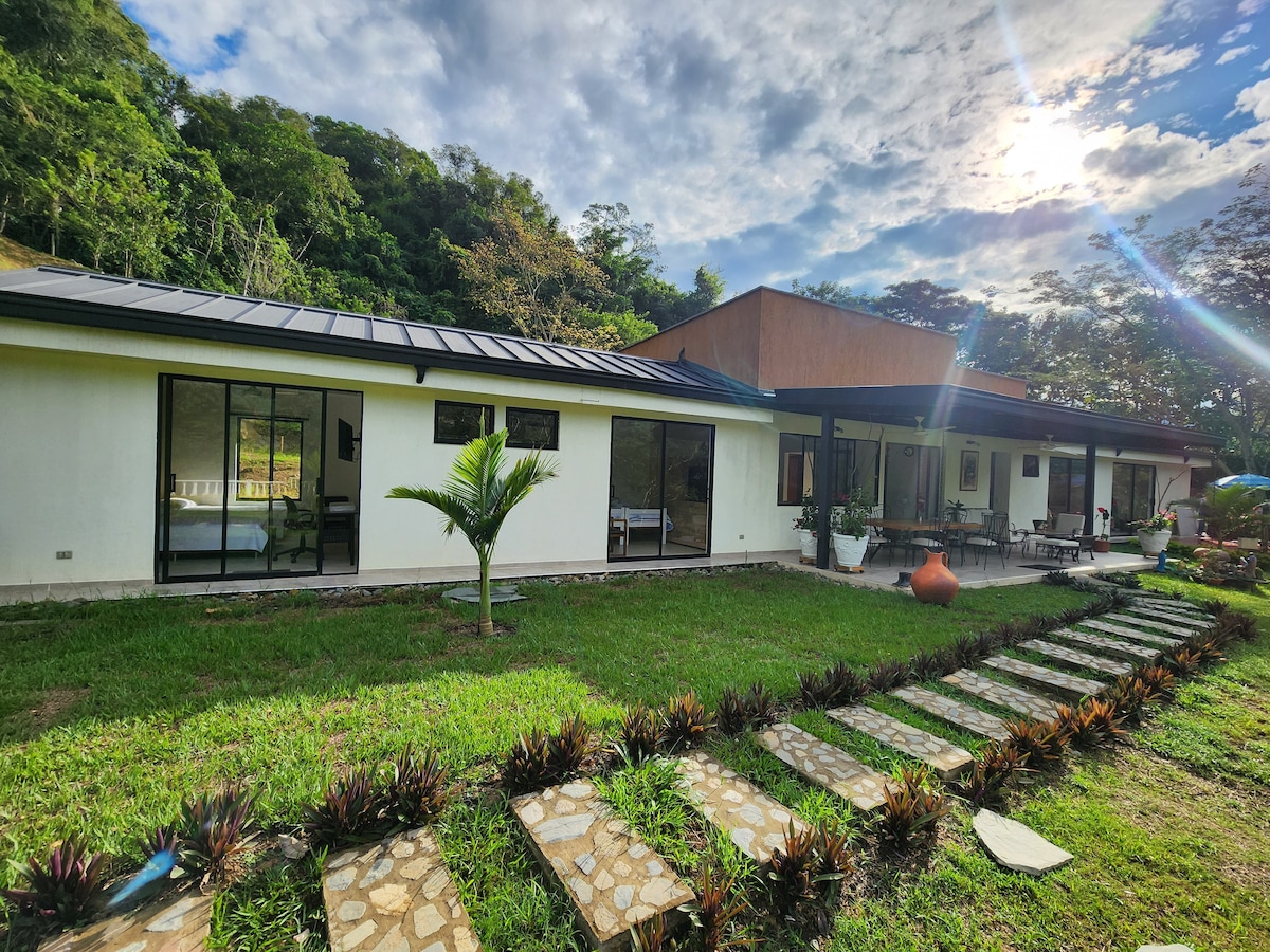 A spacious exterior view of the house is shown, featuring a modern design with large windows reflecting the surrounding greenery. The well-maintained garden includes stepping stones leading to a terrace area, where outdoor seating is arranged under the soft glow of the afternoon sun.