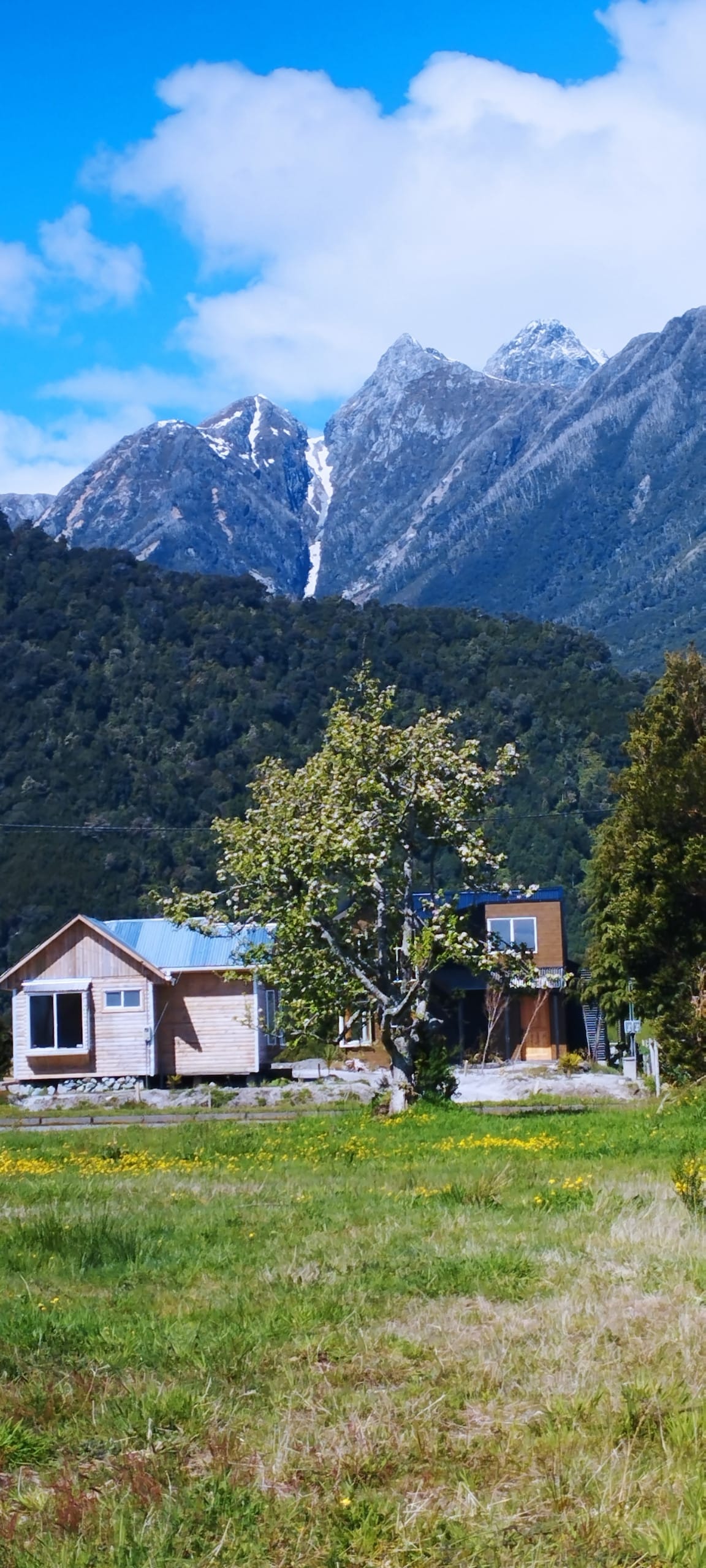 A scenic view of two rustic cabins is set against a backdrop of majestic mountains. Lush greenery covers the foreground, while a large tree adds to the tranquil setting. The peaks are visible, showcasing patches of snow and rocky terrain under a bright blue sky.