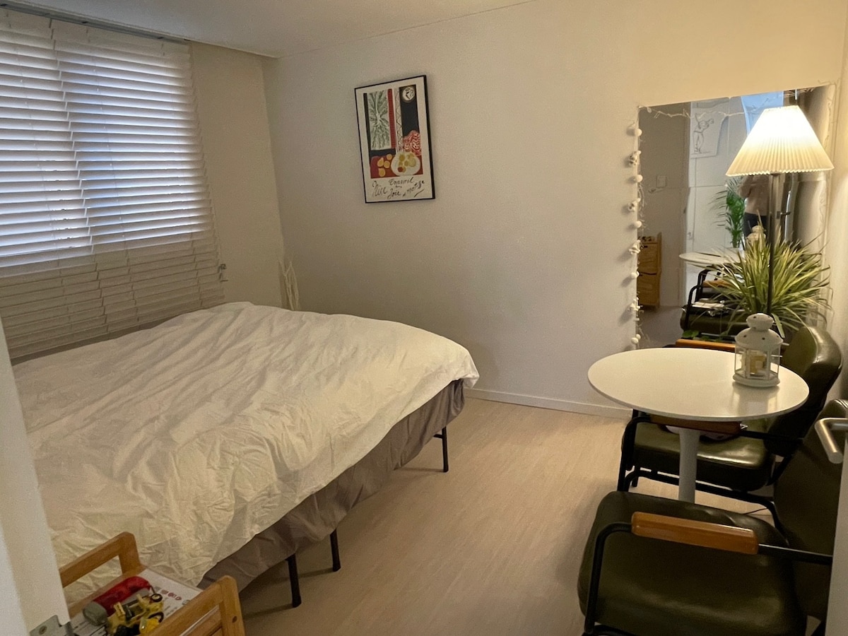 საძინებელი 1