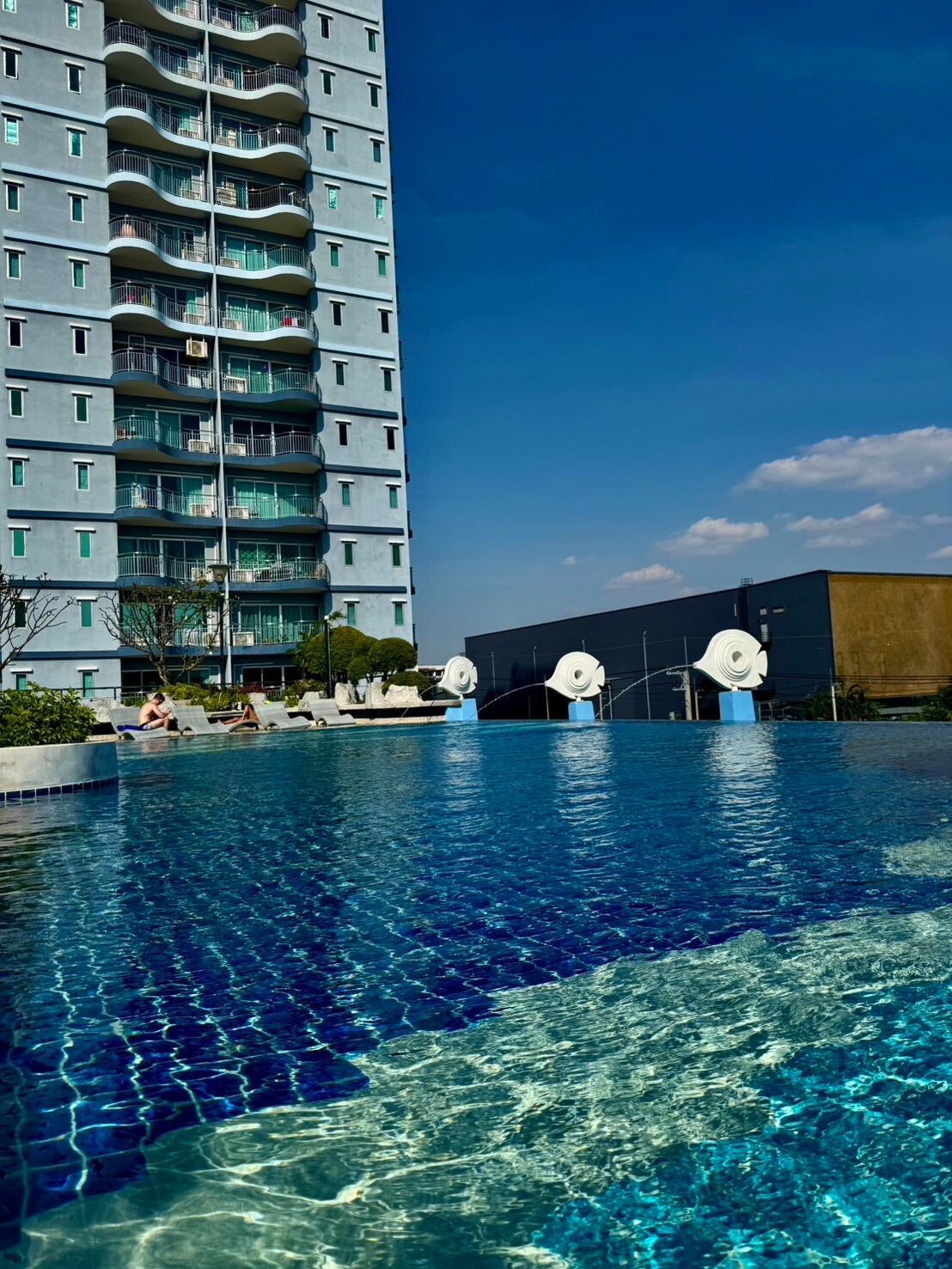 The image captures a rooftop pool area surrounded by modern architecture. Lush greenery lines the poolside, and three large circular loungers are positioned for relaxation. The water's surface reflects vibrant blue tiles, contrasted by the clear sky overhead and the upper part of the building in the background.
