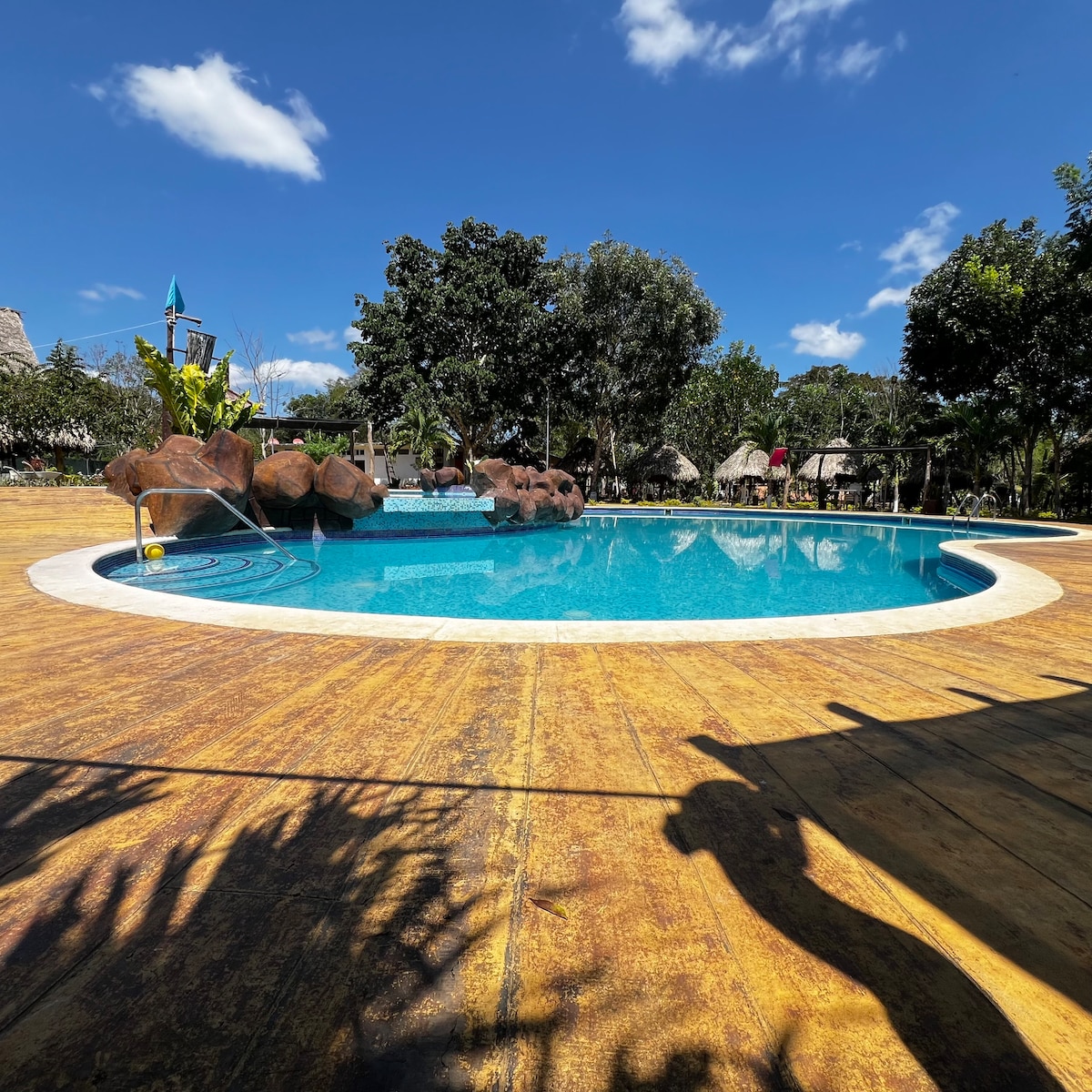 A clear swimming pool is showcased, surrounded by a wooden deck and lush greenery. Tropical plants and trees can be seen in the background, with a blue sky adorned with a few fluffy clouds overhead.