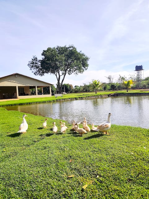 Manancial Farm