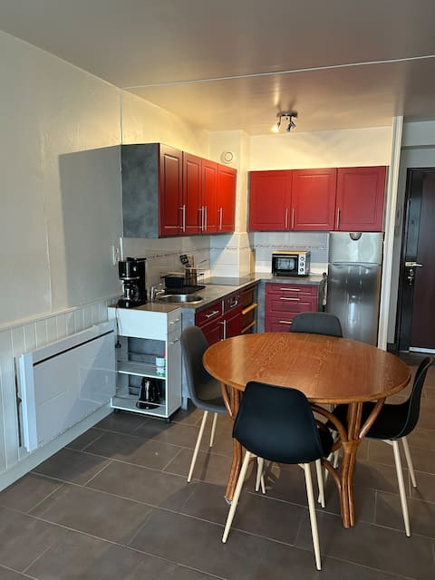 Propriété Airbnb réussie: 2-room apartment with terrace and beautiful view of the port à Douarnenez