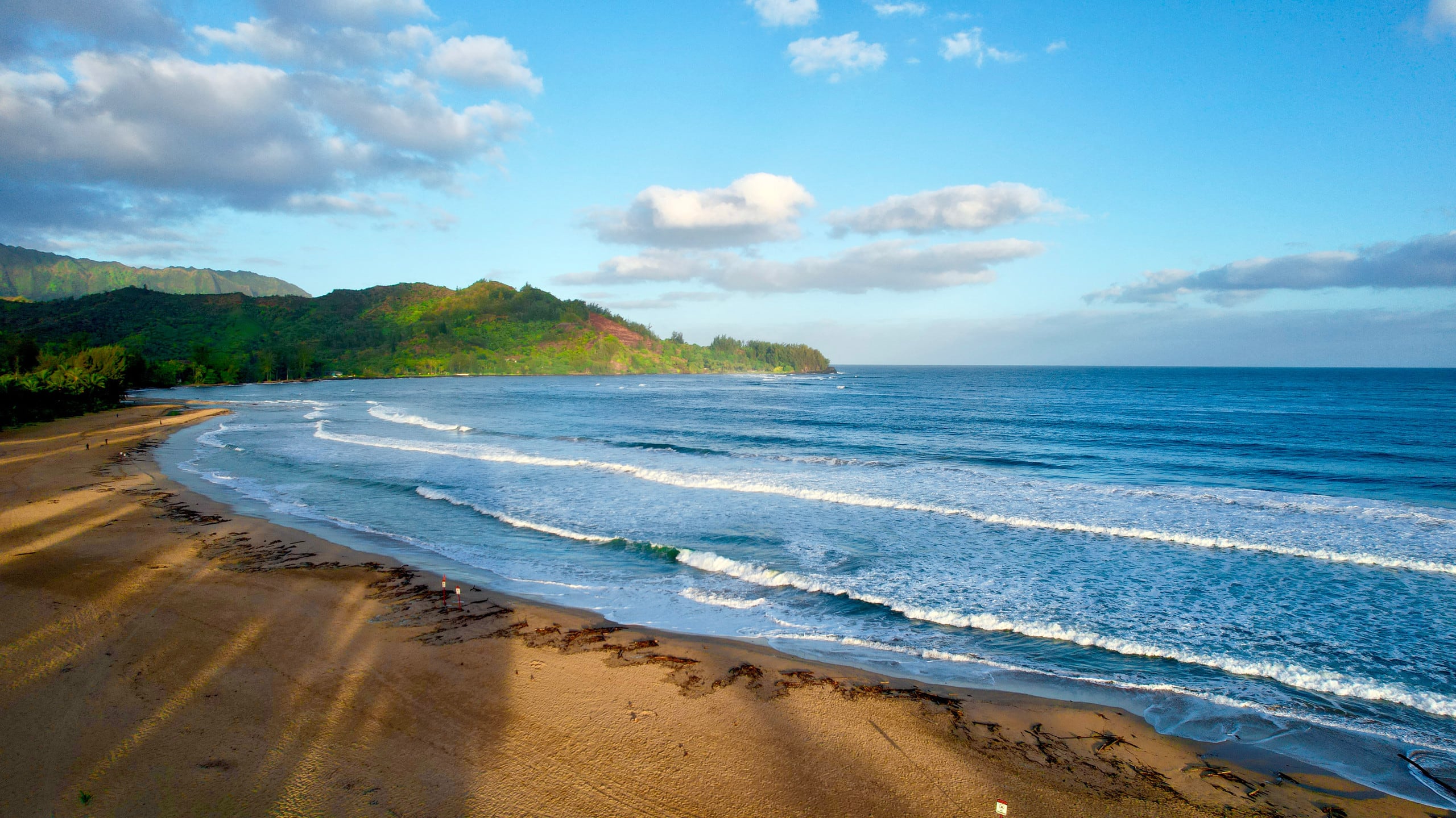 Home in Koloa · ★5.0 · 1 bedroom · 2 beds · 1 private bath - Image 49