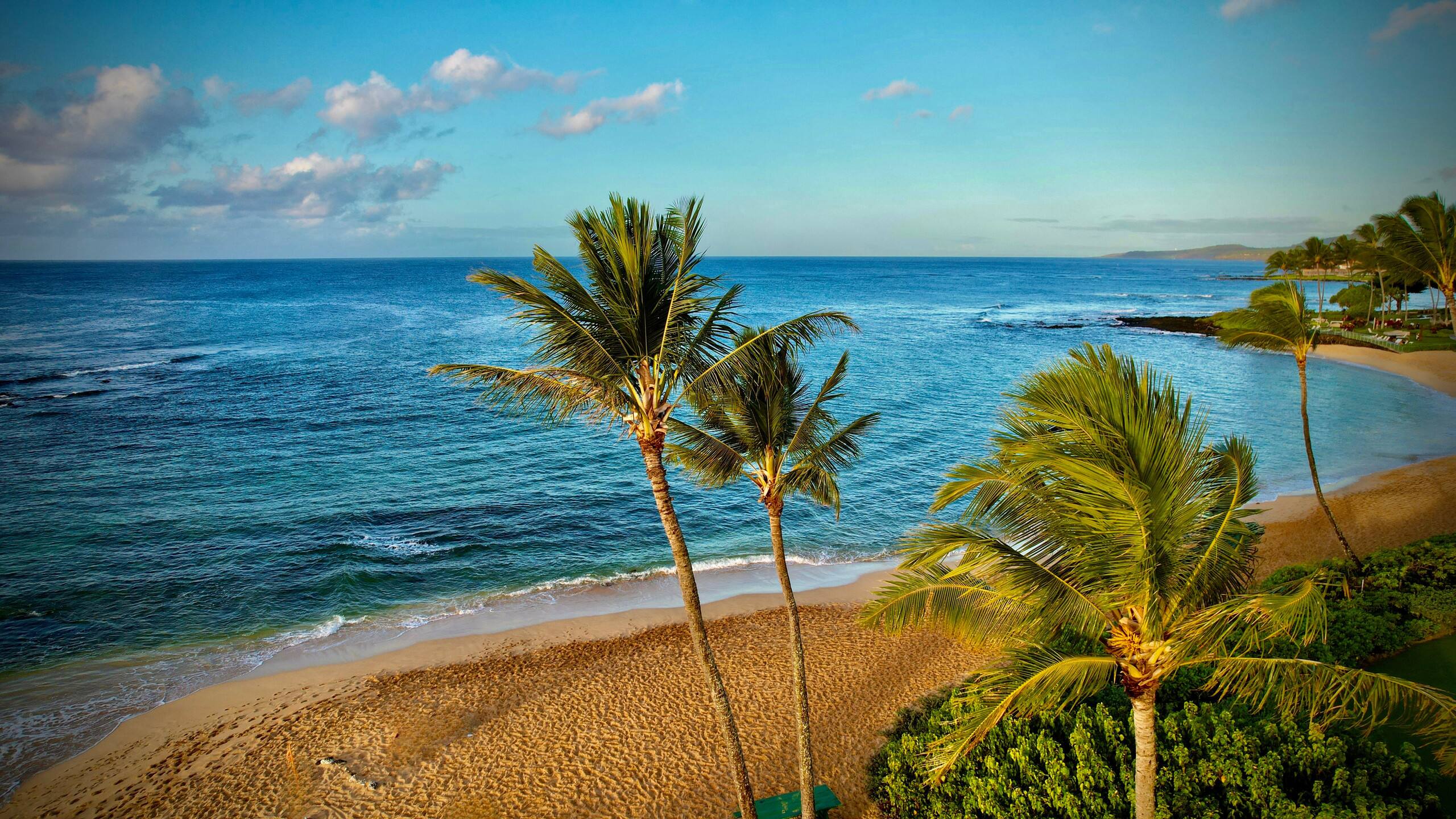 Home in Koloa · ★5.0 · 1 bedroom · 2 beds · 1 private bath - Image 47