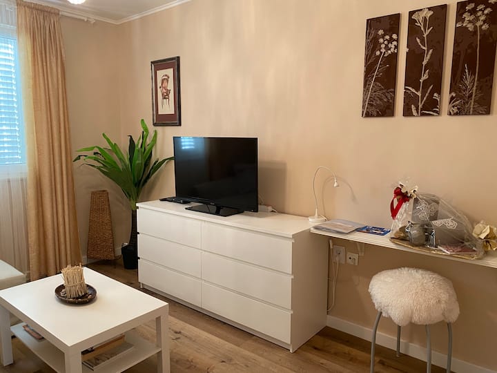 Aenona Apartment 1. - Nin