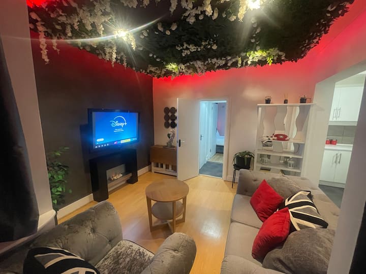 Stylish 1 Bedroom Flat Brixton - Londres