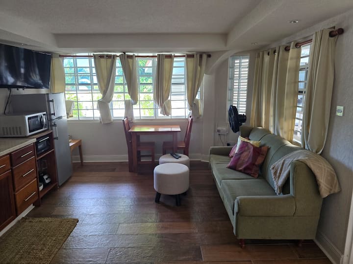 The Tropical Rose Apt B - Roseau