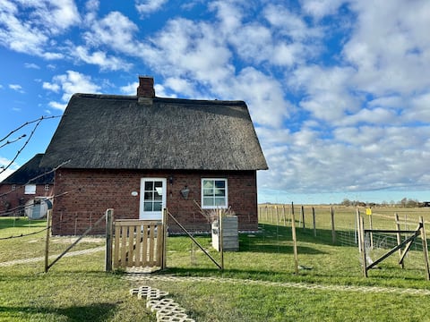 House Treibsel