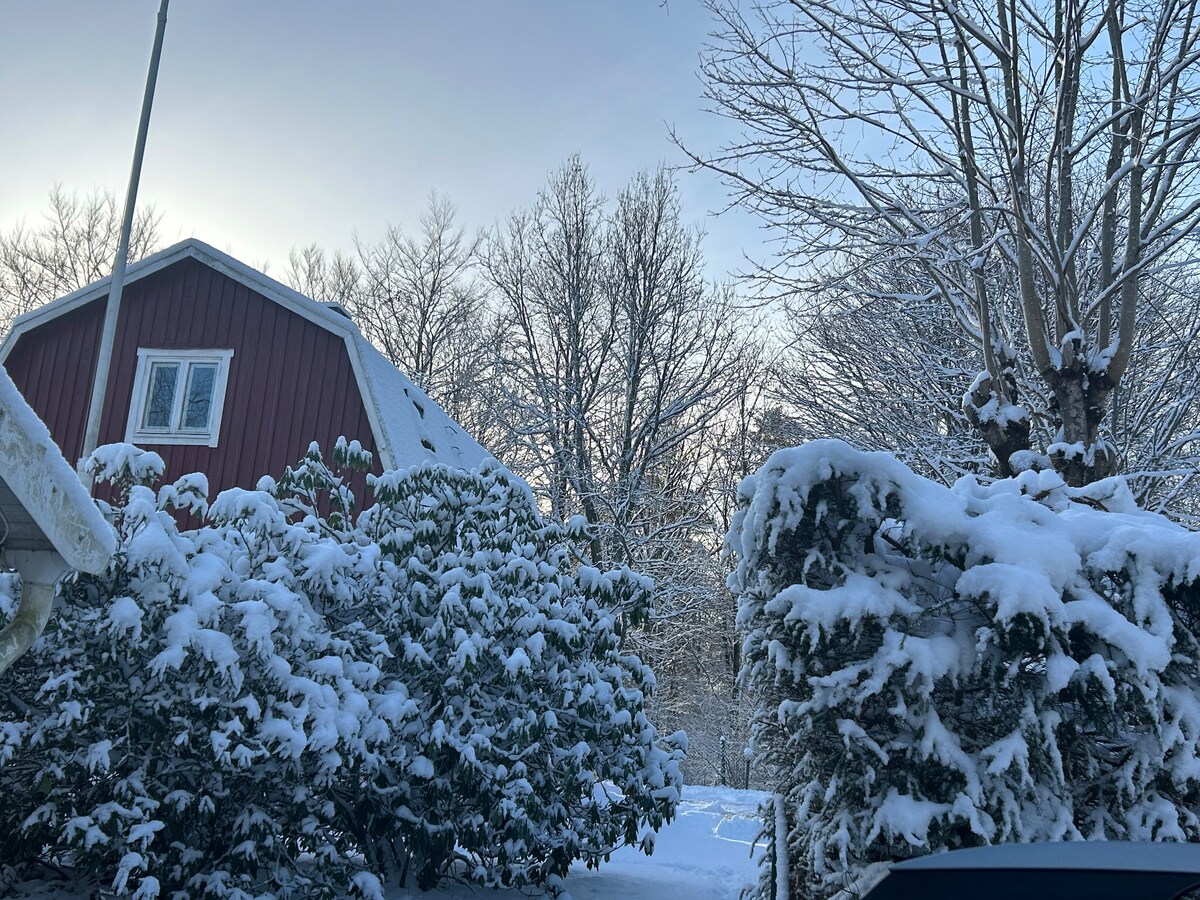A charming red house with a sloped roof is framed by snow-covered trees and shrubs, creating a serene winter scene. The soft snow blankets the landscape, and a gentle light shines through the branches, hinting at a peaceful atmosphere.