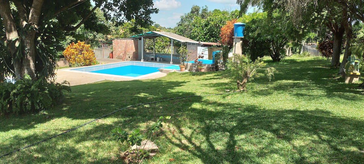 A landscaped outdoor area is presented, featuring a swimming pool surrounded by green grass and trees. A shaded seating area is visible near the pool, providing a space for relaxation. Bright flowers add color to the scene, enhancing the tranquil atmosphere.