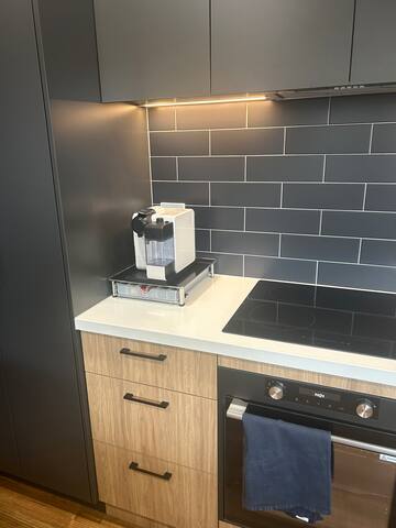 Clinker Lux in Balwyn North 4br Balwyn HS zone gallery image 5