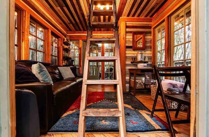A view into the treehouse.

Photo by Joy Cannis