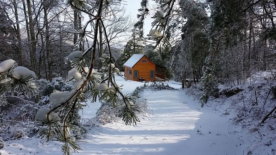 A cabin with a warm orange exterior is nestled among trees, surrounded by a blanket of fresh snow. Pine branches, delicately adorned with snow, frame the path leading to the cabin, creating a peaceful winter scene.