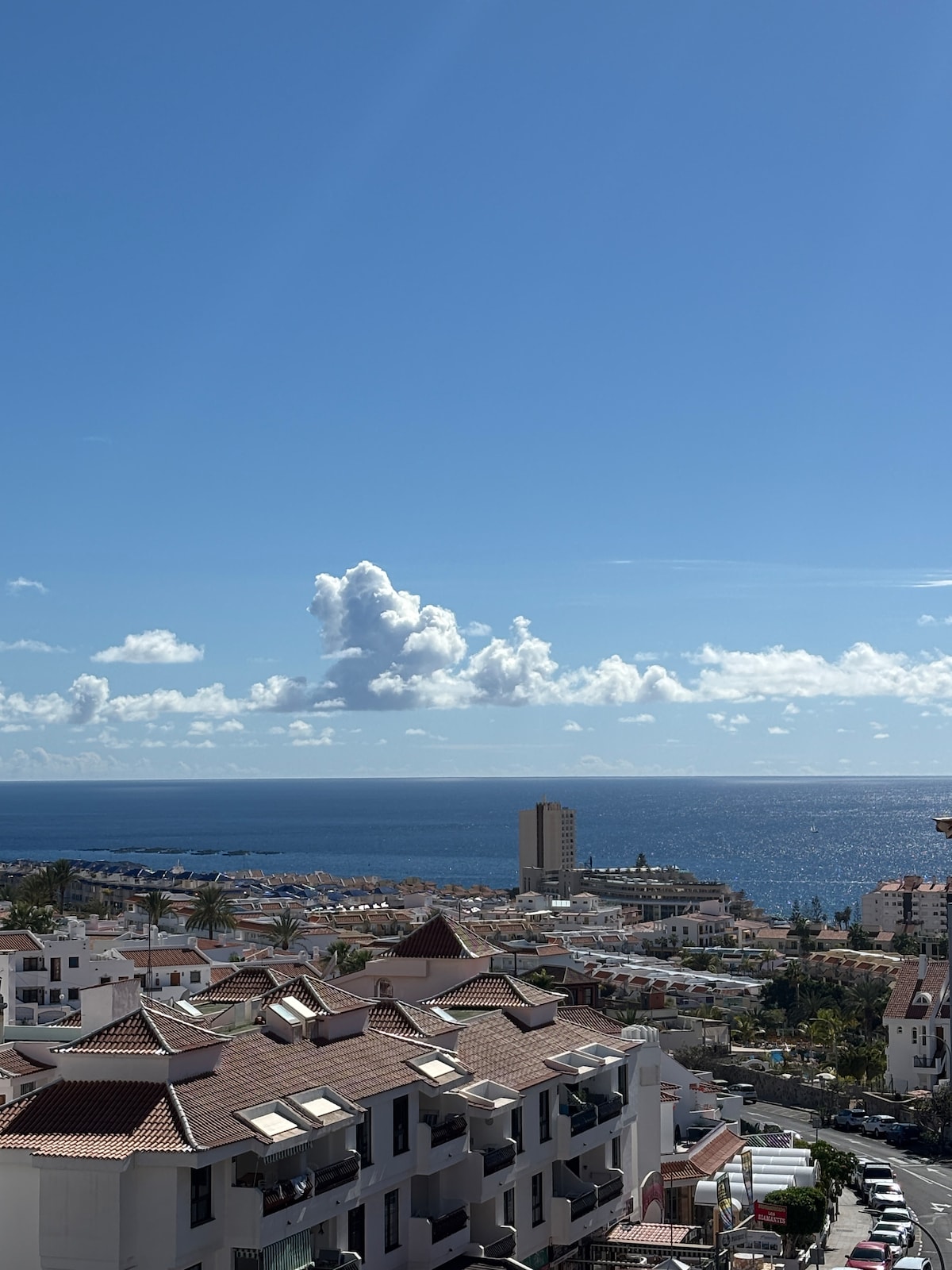 A panoramic view of the ocean is presented, with clear blue skies and fluffy clouds in the distance. The coastline features a mix of buildings and greenery, creating a vibrant urban atmosphere against the expansive water.