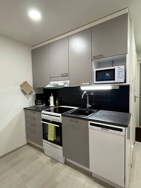 Top performing Airbnb: Studio Ruusupuisto | washing machine | Wi-Fi | 2 beds in Mattilanpelto